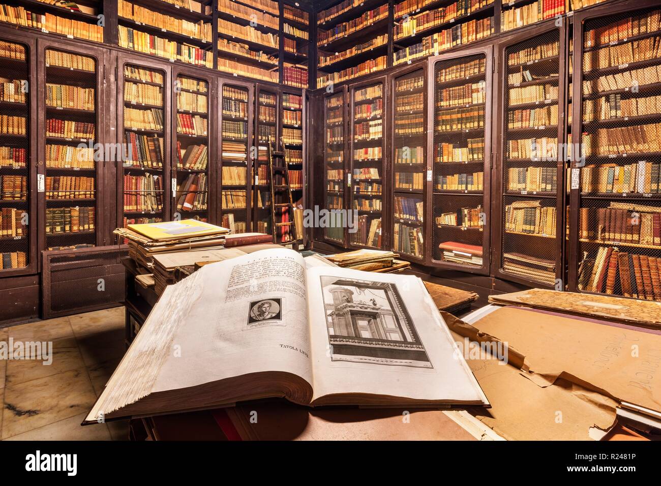 Accademia Carrara di Belle Arti, il fondo antico della biblioteca, Carrara, Toscana, Italia, Europa Foto Stock