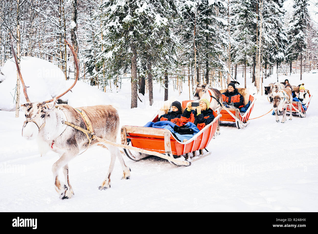 Rovaniemi, Finlandia - 5 Marzo 2017: Persone in renne con la slitta in Finlandia in Lapponia in inverno. Foto Stock