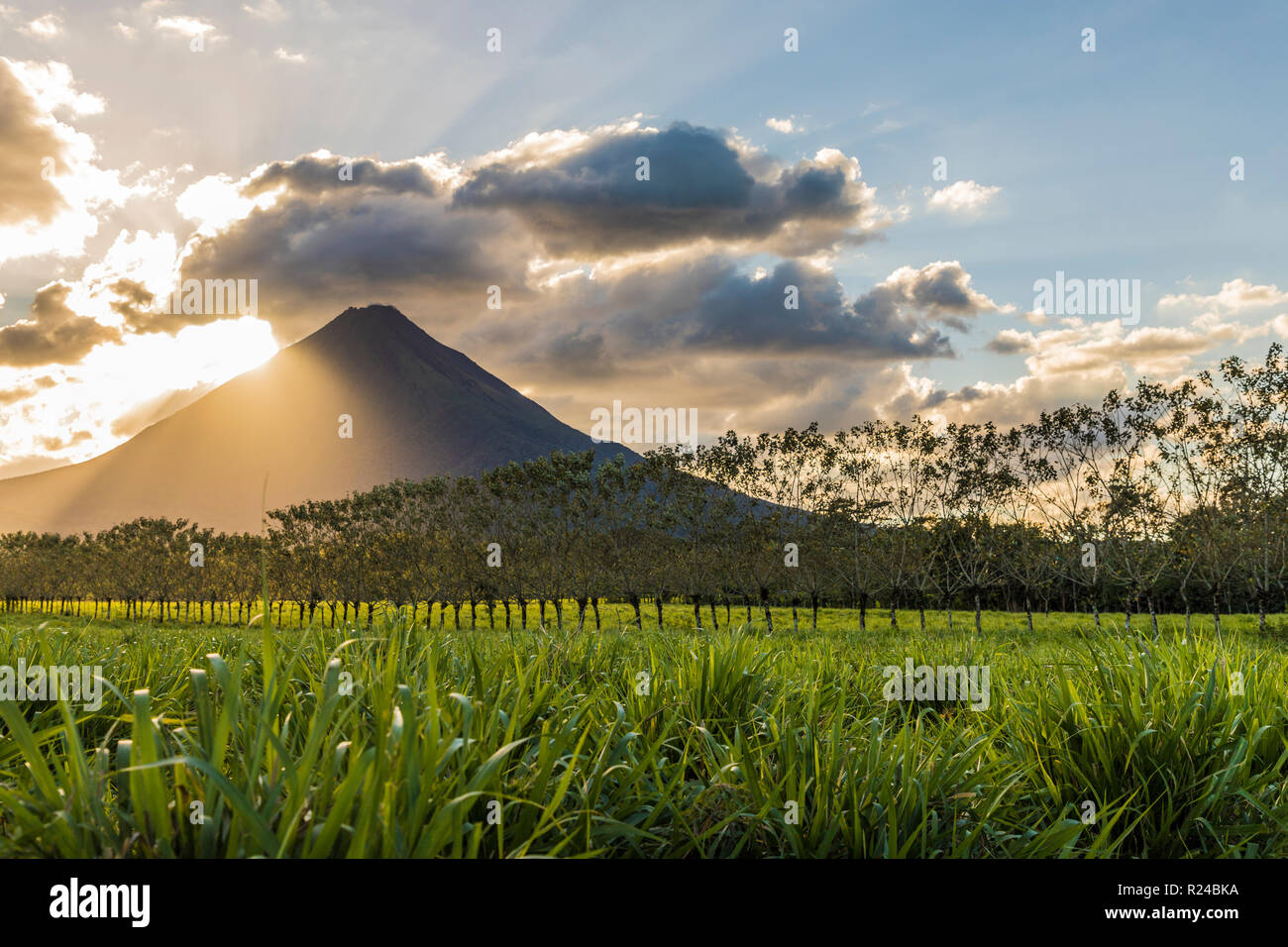 Vulcano Arenal, visto da La Fortuna de San Carlos, Costa Rica, America Centrale Foto Stock