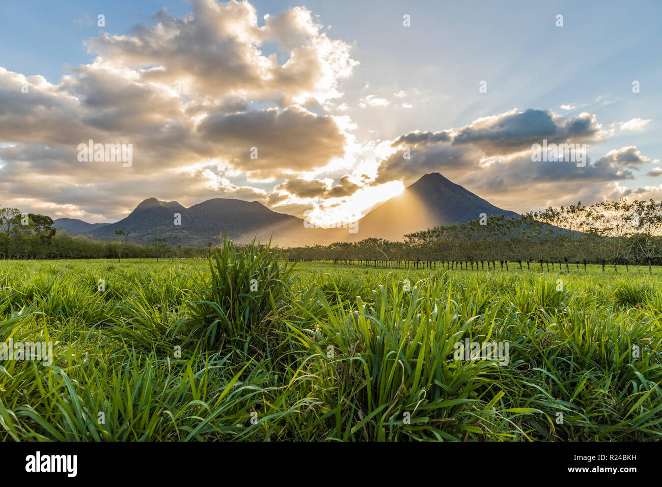 Vulcano Arenal, visto da La Fortuna de San Carlos, Costa Rica, America Centrale Foto Stock