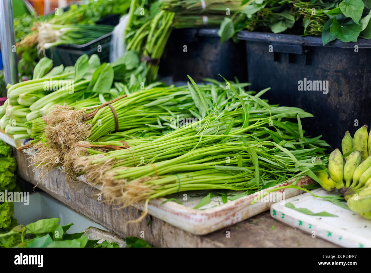 Fresh gloria di mattina i grappoli e verdura verde sul mercato locale a Krabi town. Cucina tailandese tradizionale ingredienti freschi. Foto Stock