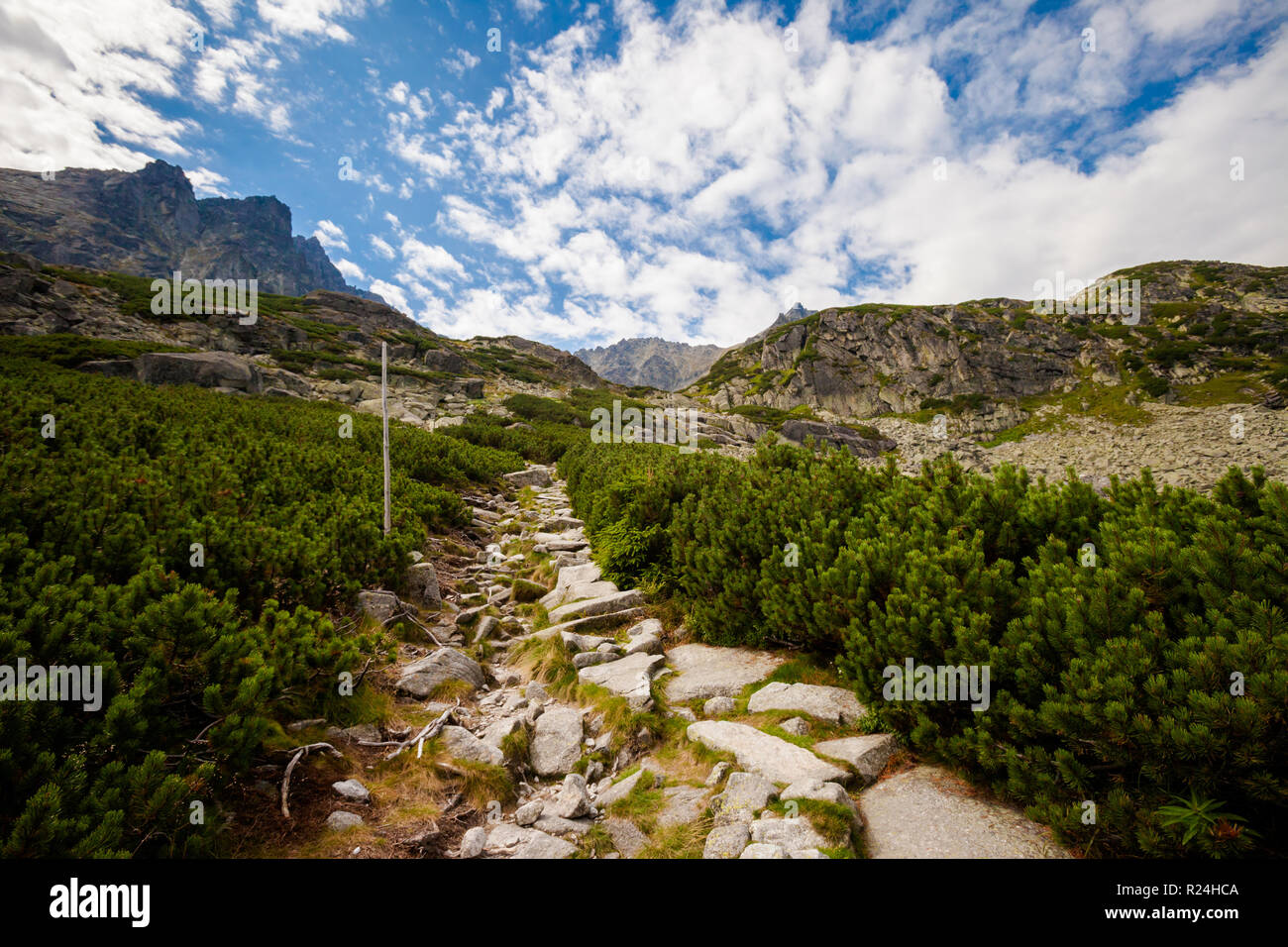 Bella Velka Studena dolina - in slovacco Alti Tatra. Bella estate panorama - percorso da Stary Smokovec via Hrebeniok a Zbojnicka Ch Foto Stock