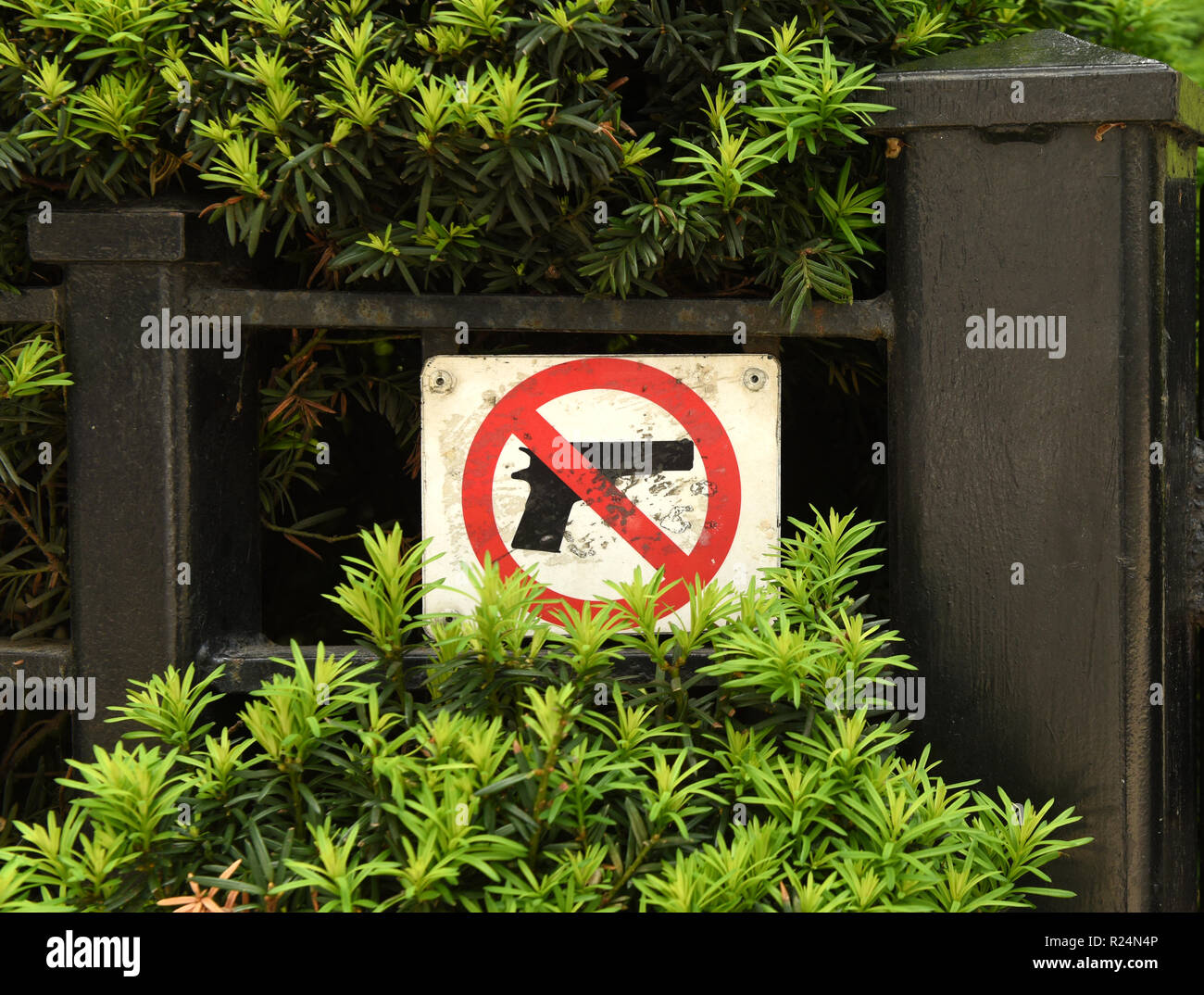 Il segno "No Gun' in Chicago, IL Foto Stock