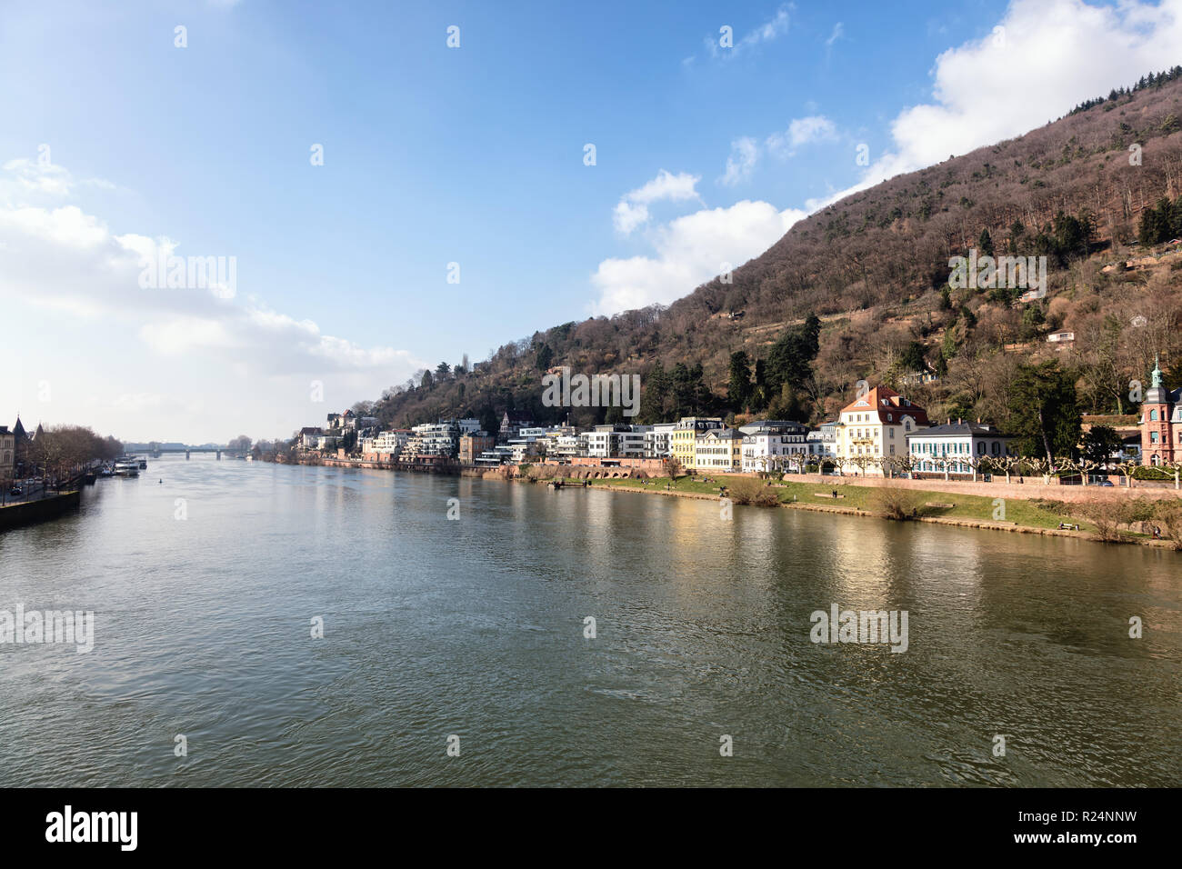 Vista del Neckar, Regione Metropolitana Rhine-Neckar Heidelberg, Germania Foto Stock