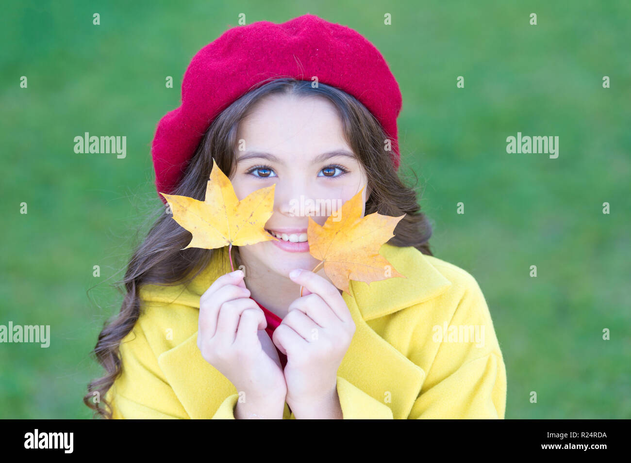 Suggerimenti per trasformare l'autunno nella stagione migliore. Kid ragazza sorridente faccia tenere foglie di acero. Bambino con autunno foglie di acero a piedi. Autunno di coziness è appena intorno a. Bambina entusiasta di stagione autunnale. Foto Stock