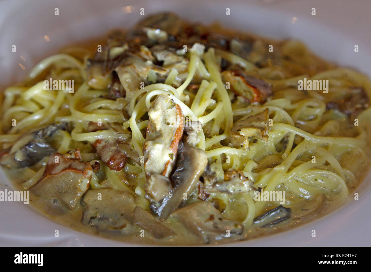 Spaghetti in Salsa di funghi selvatici nella penisola Gaspe del Québec in Canada. I funghi vengono raccolti dal bosco locale. Foto Stock