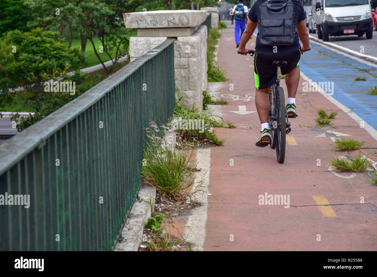 SÃO PAULO, SP - 16.11.2018: PONTES SEM MANUTENÇÃO EM SÃO PAULO - Ponti di São Paulo sono senza manutenzione, esposto rebar, infiltrazioni, fori, piante, sono alcuni dei problemi riscontrati in questo Venerdì (16). Nella foto il ponte Casa Verde. (Foto: Roberto Casimiro/Fotoarena) Foto Stock