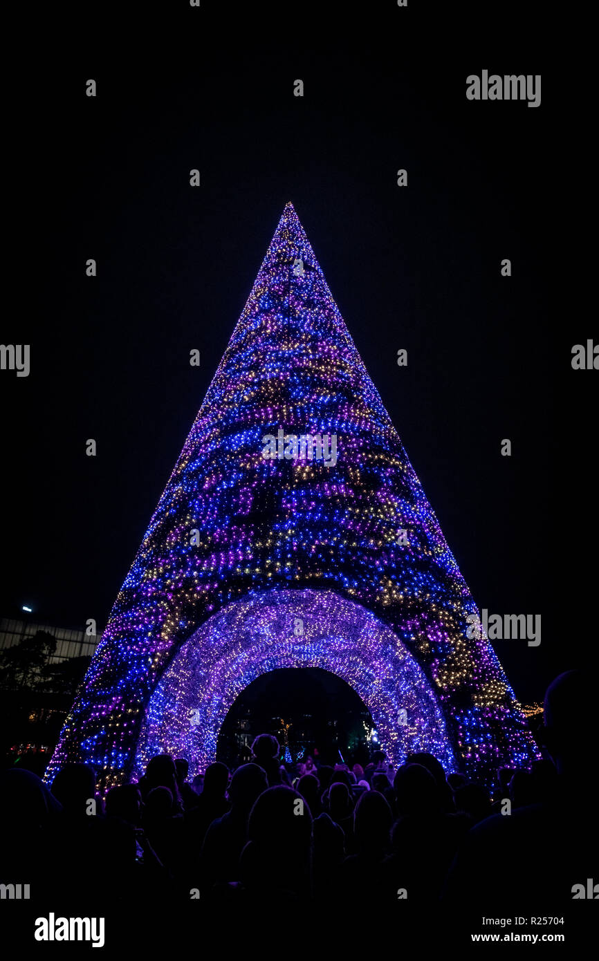 Bournemouth, Regno Unito. Il 16 novembre 2018. Migliaia di persone accorrono per vedere la grande accendere del Bournemouth albero di Natale il paese delle meraviglie, dove 100 alberi di Natale di tutte le forme e dimensioni è venuto a vita, compreso il 60ft Bournemouth Wonderland centrotavola ad albero. La massiccia Wonderland Tree è un unico cammino-attraverso la struttura, situata a Bournemouth giardini, che fa regolarmente spettacoli di luci e suoni con musica. Oltre 500.000 le luci rendono l'attrazione. Foto Stock