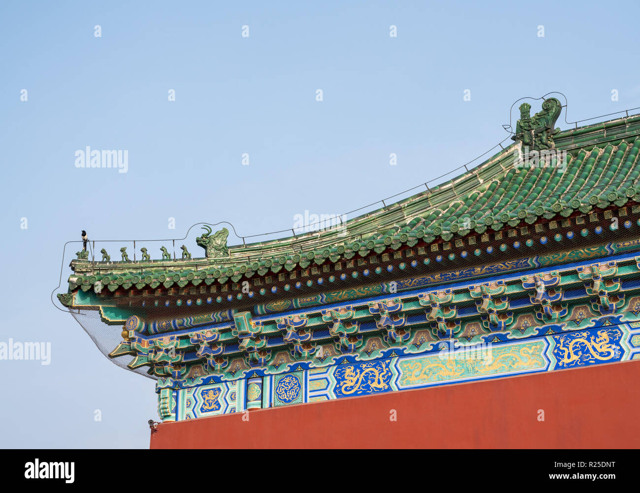 Dettaglio di piastrelle sul Tempio del cielo di Pechino CINA Foto Stock