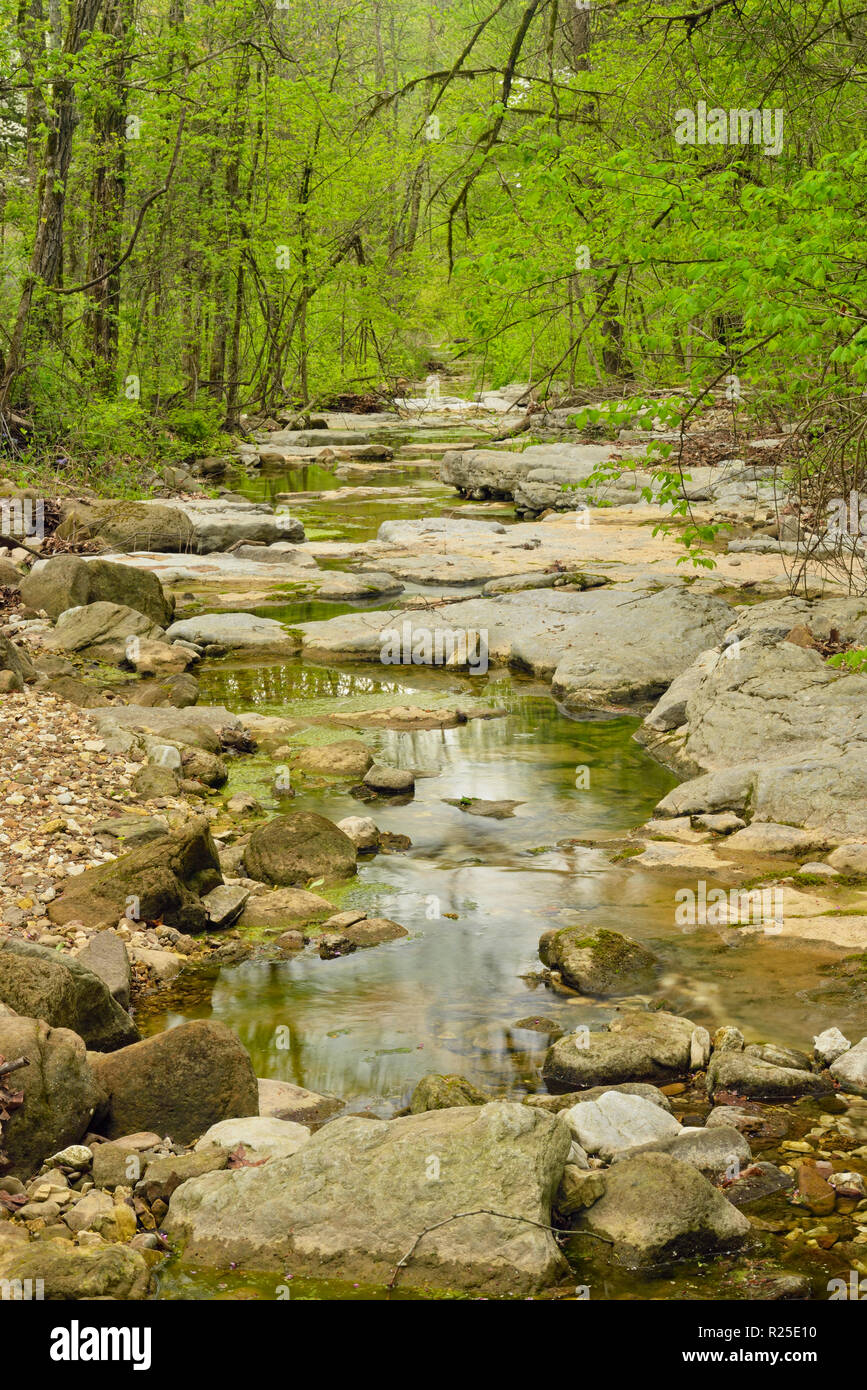 Una piccola insenatura con acqua bassa., Buffalo fiume nazionale- perso Valley Trail, Arkansas, STATI UNITI D'AMERICA Foto Stock