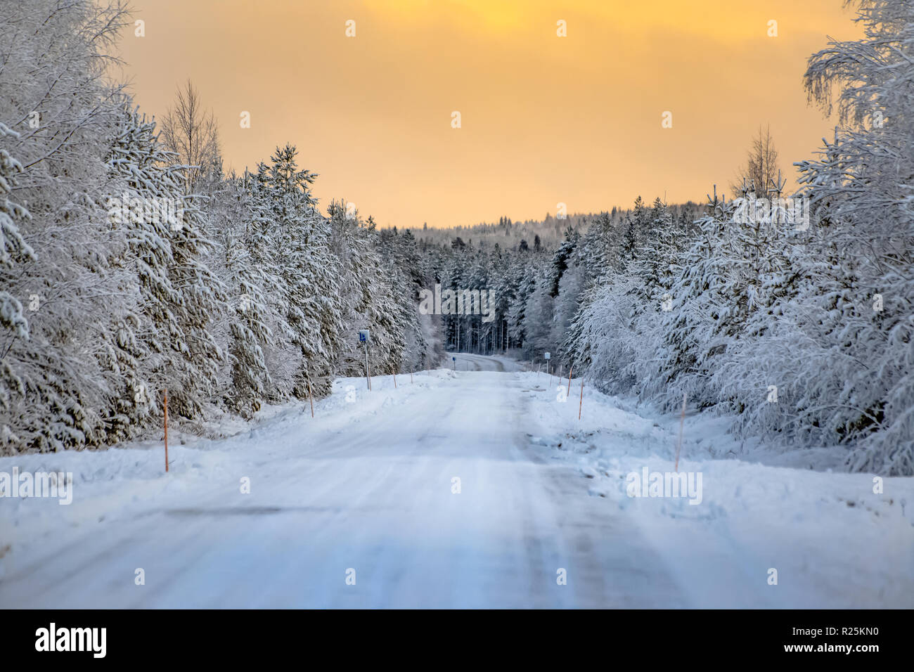 Tramonto in inverno strada vista da Sotkamo, Finlandia. Foto Stock