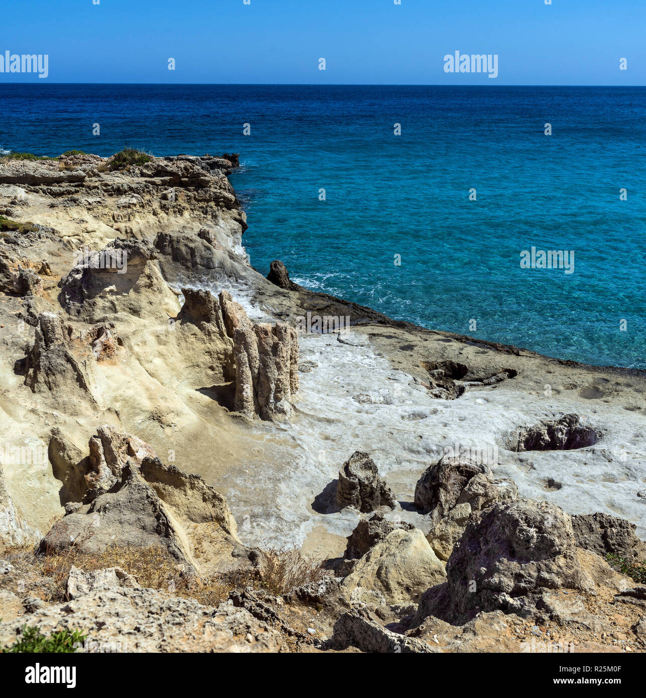 Il petrified foresta di palme della zona costiera di Agios Nikolaos, Grecia Foto Stock