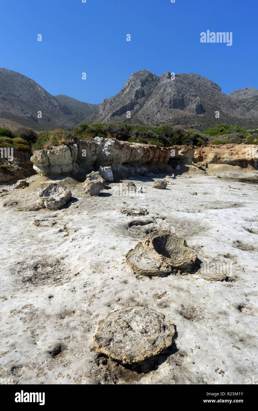 Nicchi impietriti dalla geopharm fossile di San Nicola in Grecia Foto Stock