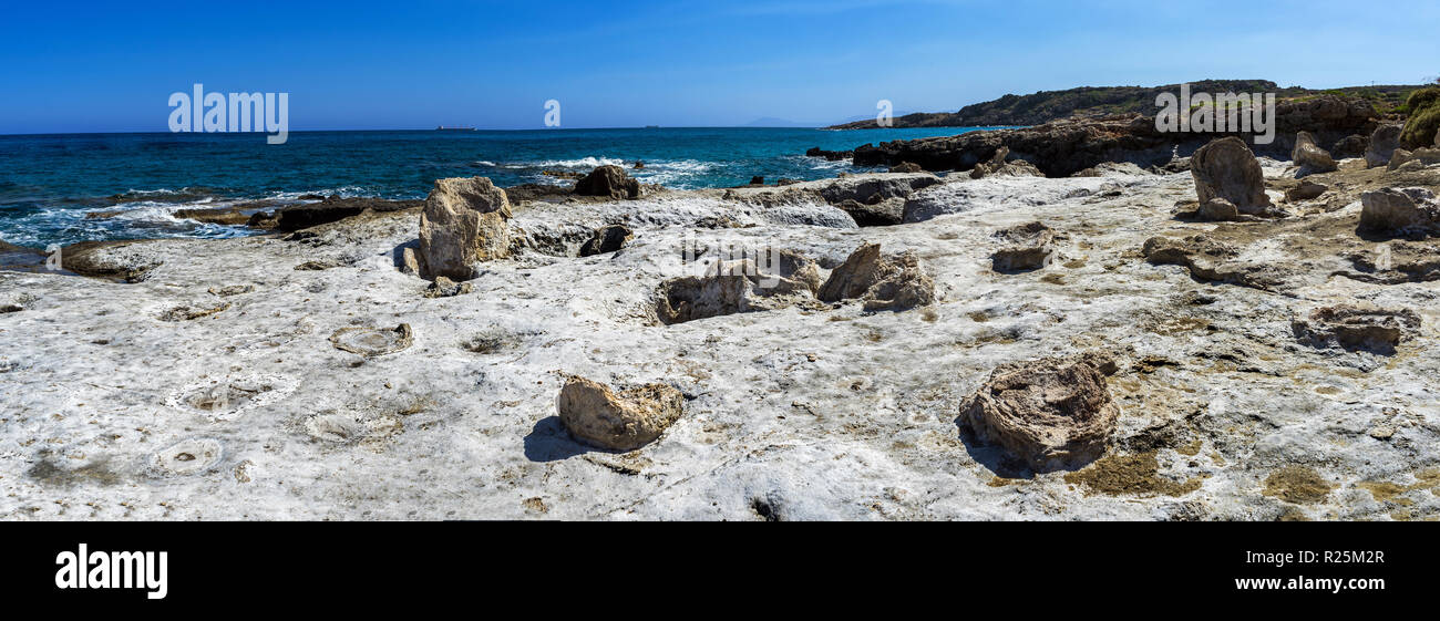 Nicchi impietriti dalla geopharm fossile di San Nicola in Grecia Foto Stock