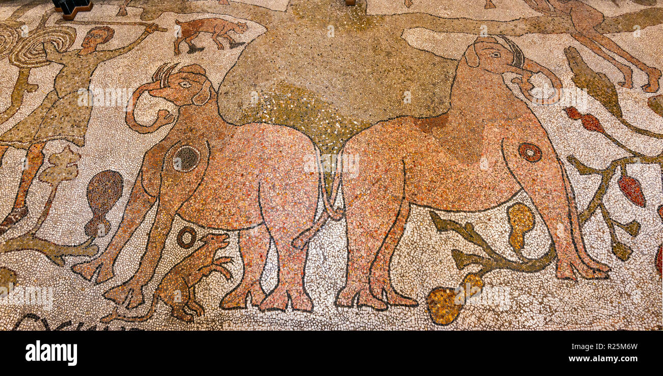 Albero della Vita mosaico, del XII secolo, sul pavimento nel Duomo, XI secolo, a Otranto in Puglia, Italia Foto Stock