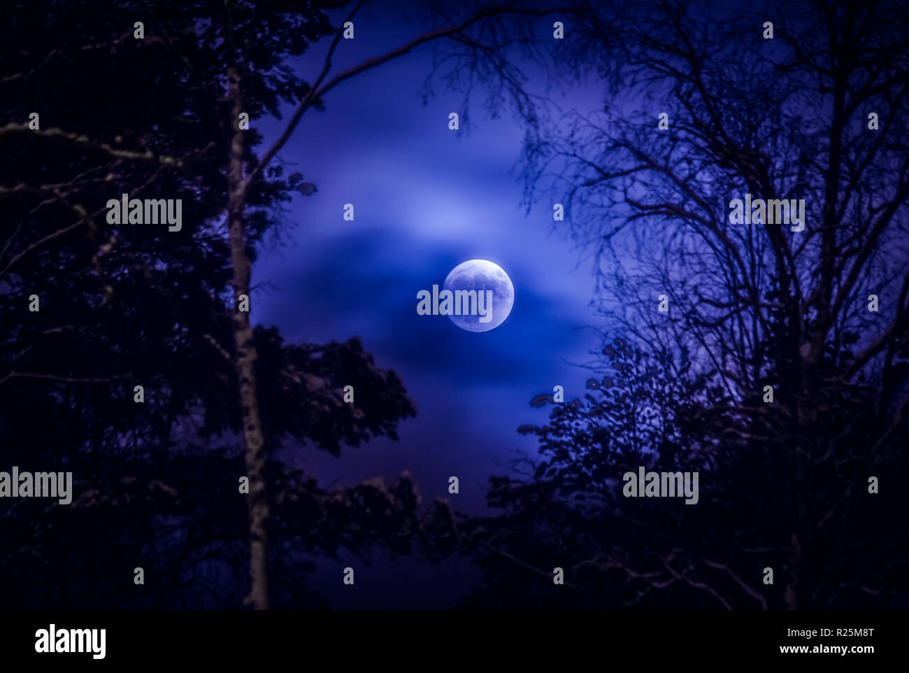 Notte d'inverno luna piena immagini e fotografie stock ad alta risoluzione  - Pagina 2 - Alamy