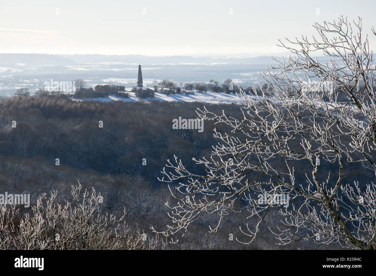 Un albero coperto di neve con un monumento in background in campagna inglese su un soleggiato inverni giorno Foto Stock
