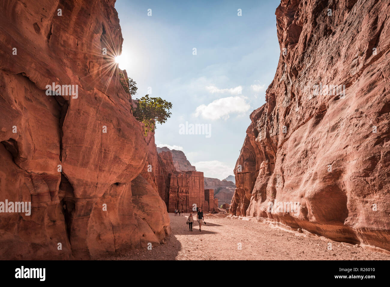 Rocce scolpite case, città Nabataean Petra, vicino a Wadi Musa, Giordania Foto Stock