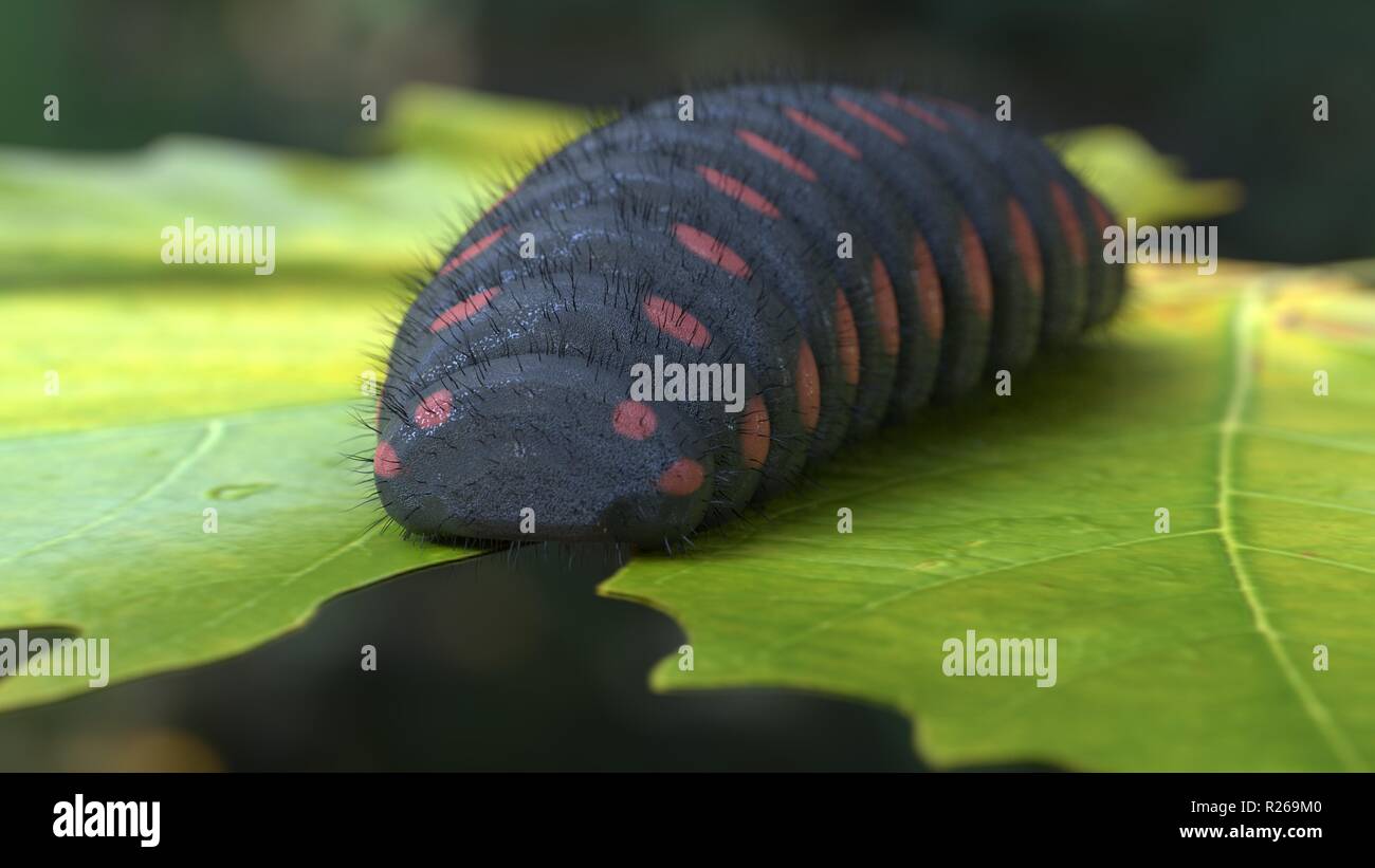 Grande bruco nero con puntini rossi foglia mangiare 3D render Foto Stock
