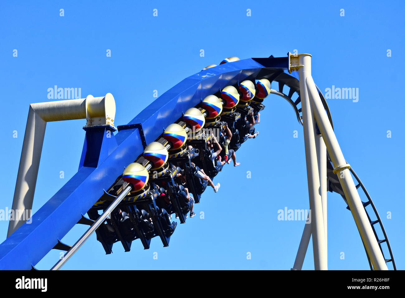 Tampa, Florida. Ottobre 25, 2018 incredibile Montu Rollercoaster al Bush Gardens. Montu ha sette inversioni a Bush Gardens Tampa Bay Theme Park. Foto Stock