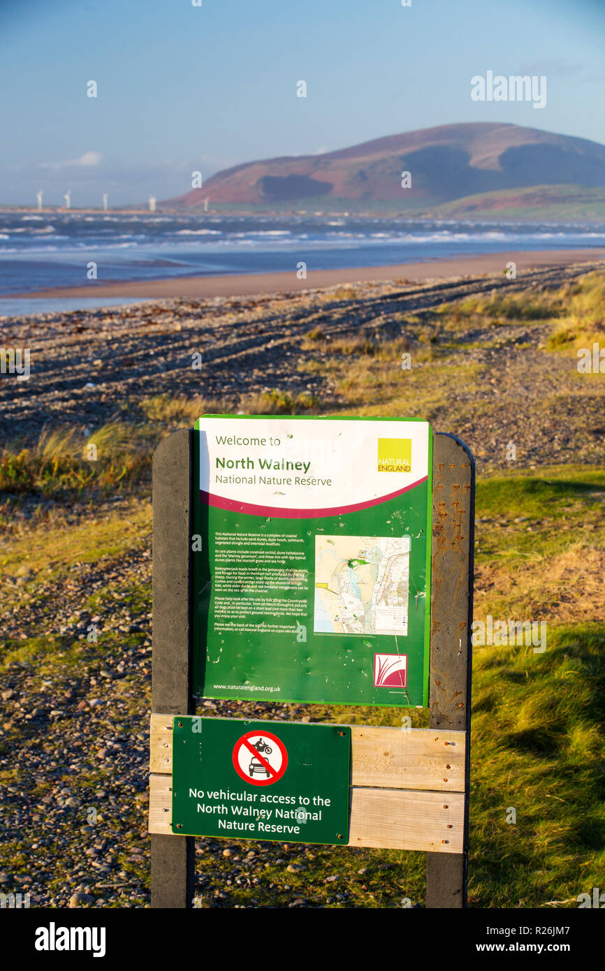 Guardando verso il nero Combe da Nord Walney Riserva Naturale su Walney Island, Cumbria, Regno Unito. Foto Stock