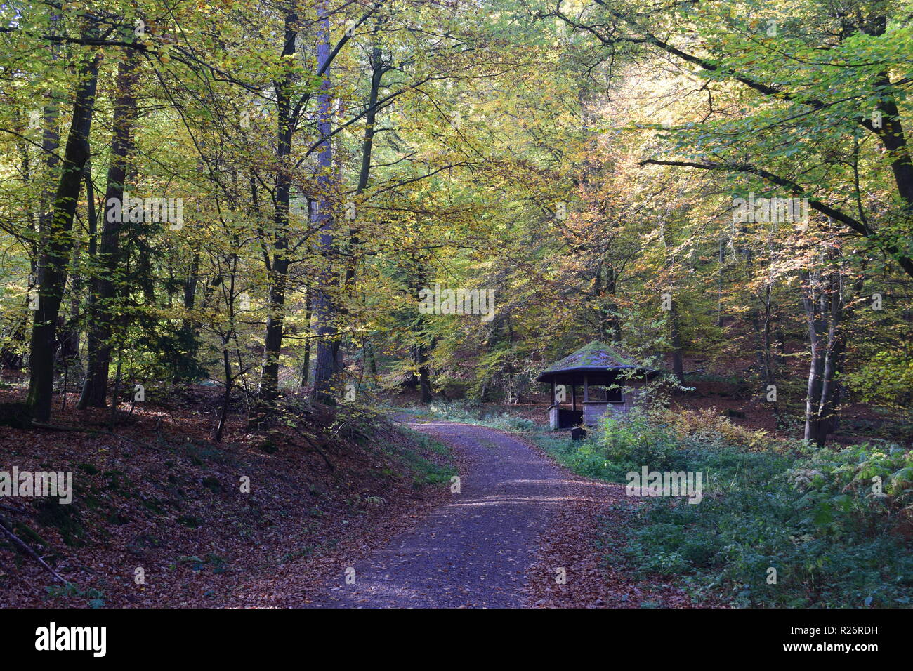 Una capanna in legno, un luogo di riposo durante la giornata di escursioni nella foresta di autunno alle pendici del Hunsrück alta foresta nella campagna del Saarland. Foto Stock