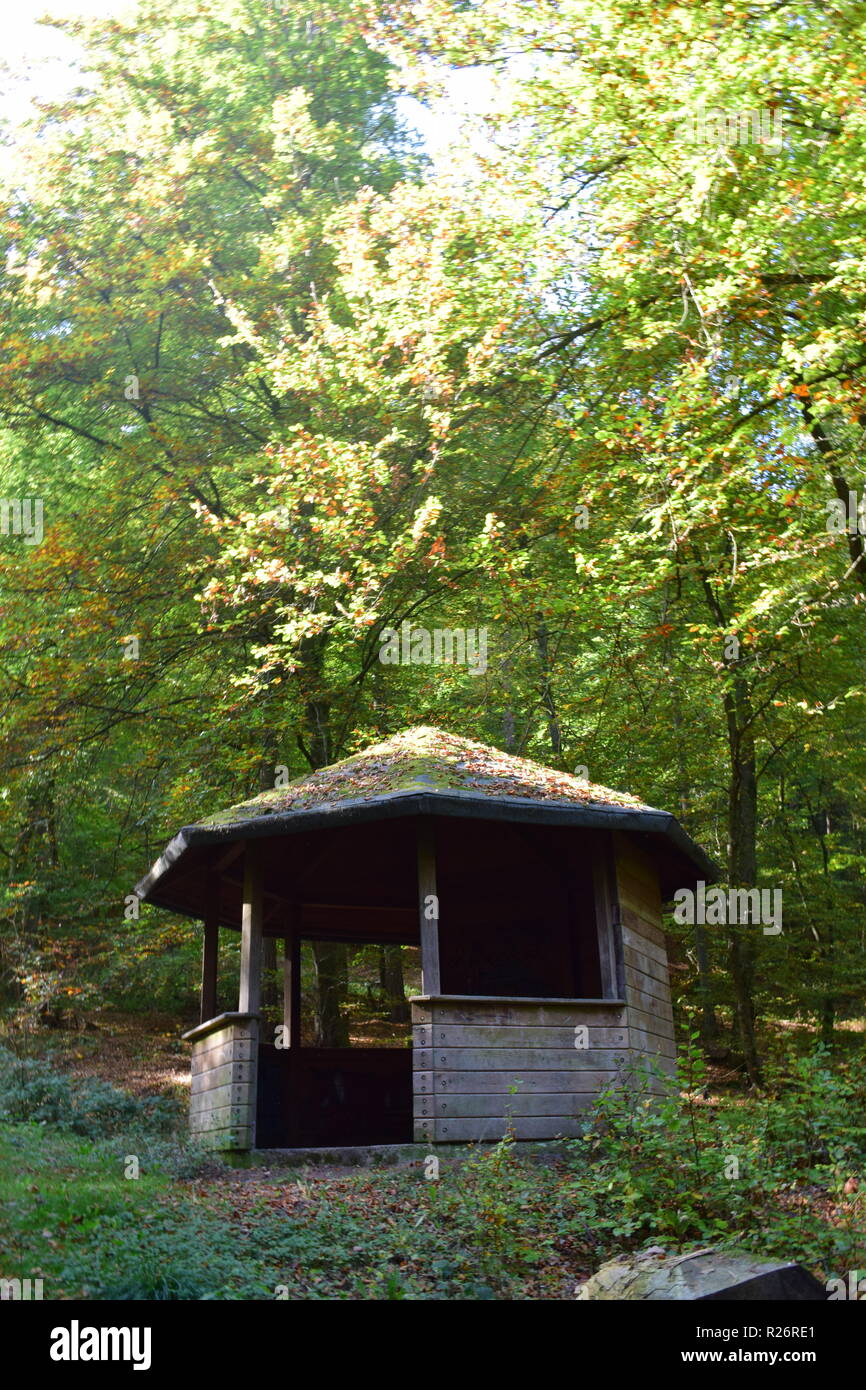 Una capanna in legno, un luogo di riposo durante la giornata di escursioni nella foresta di autunno alle pendici del Hunsrück alta foresta nella campagna del Saarland. Foto Stock