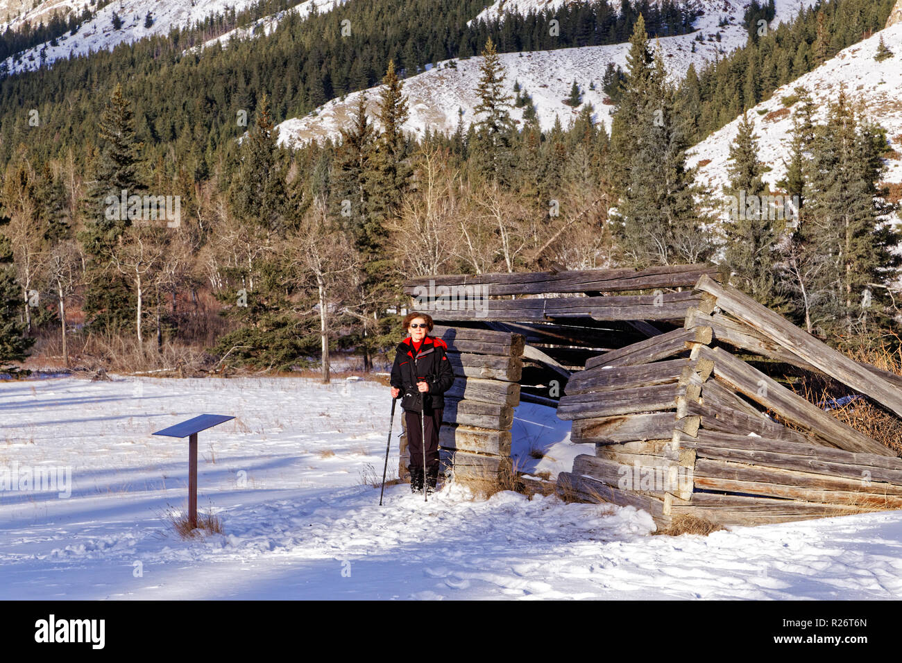 42,750.09107 close up, Donna persona escursionismo in piedi nella neve a piatto Moberly Log Cabin costruito intorno al 1909, il Parco Nazionale di Jasper, foresta di conifere backgr Foto Stock