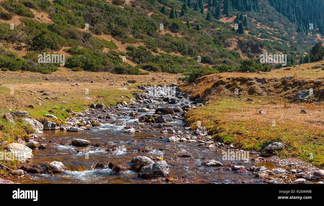 Stony river a Assy altopiano. Il Kazakistan Foto Stock