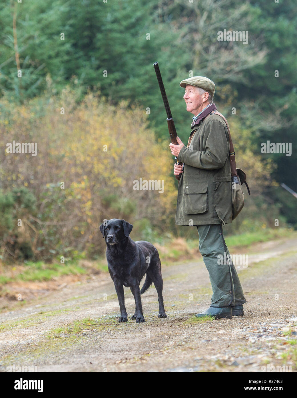 Uomo su fagiano sparare con il labrador Foto Stock