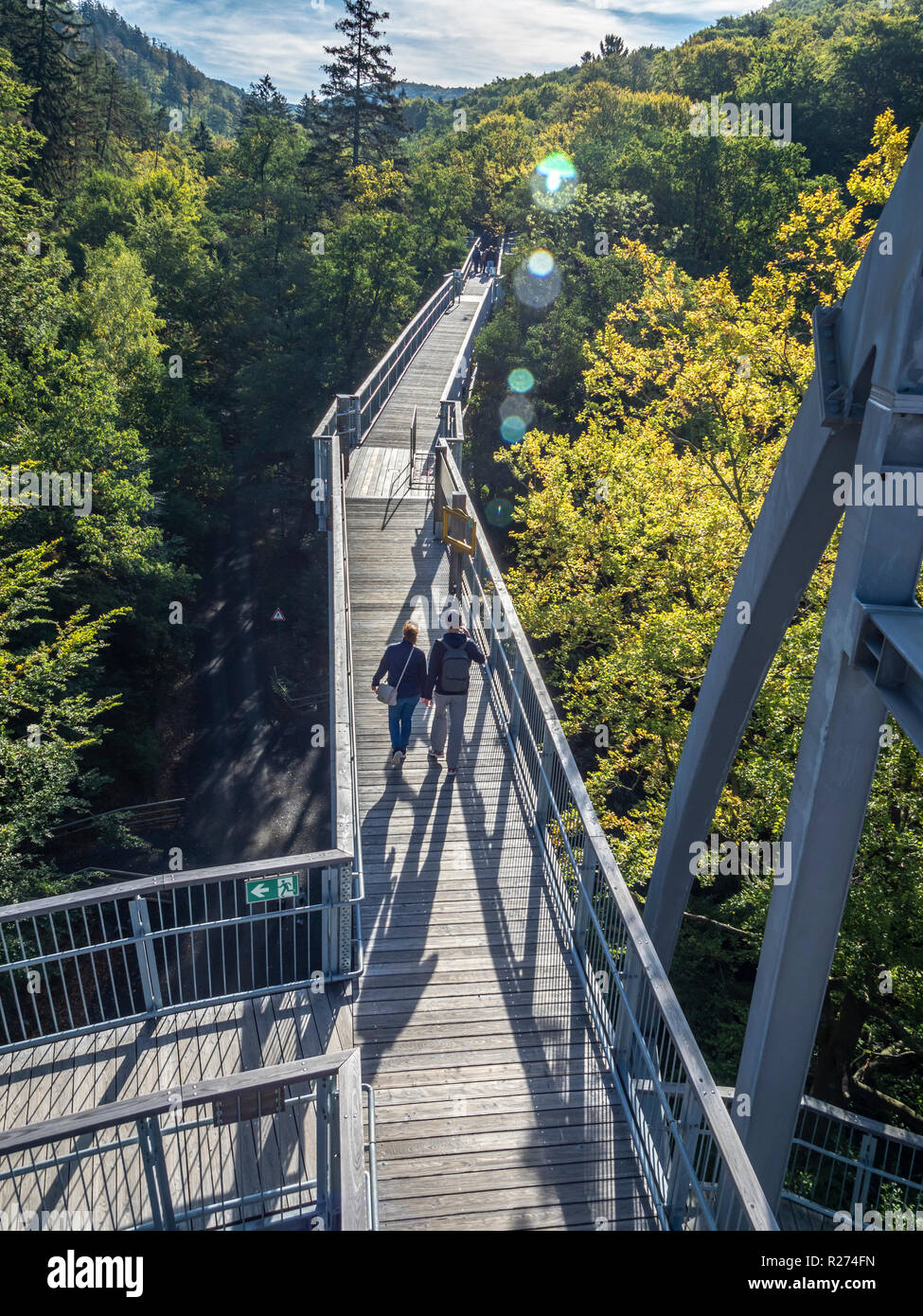 "Baumwipfelpfad', Treetop sentiero attraverso un bosco in autunno, Bad Harzburg, Harz mountain range, Bassa Sassonia, Germania Foto Stock