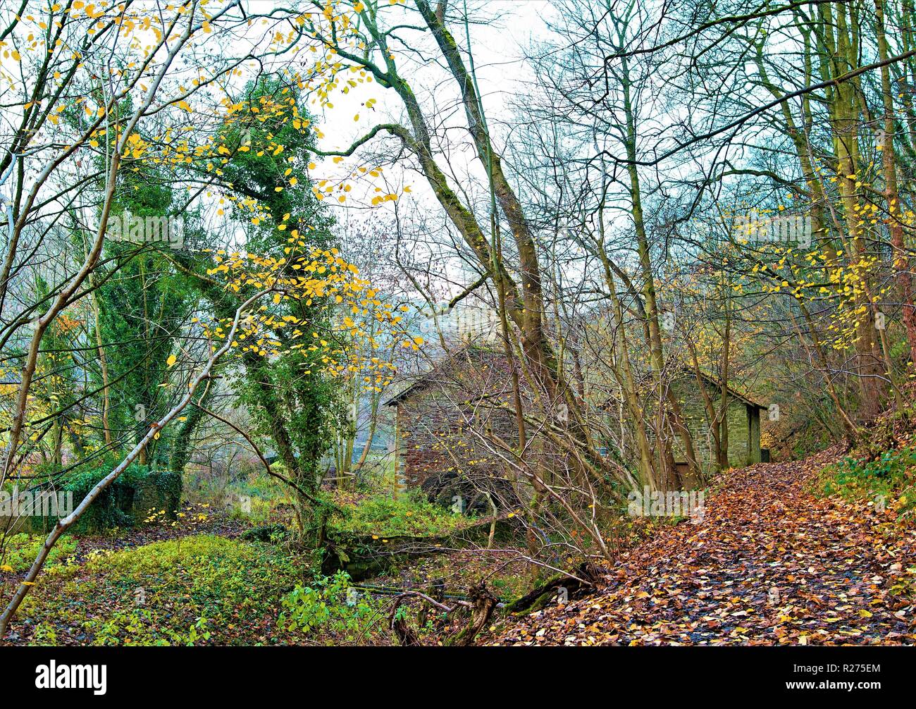 La cattura di prospettive di un mulino in disuso in un tardo pomeriggio autunnale, vicino a Ashford sull'acqua, Derbyshire. Foto Stock