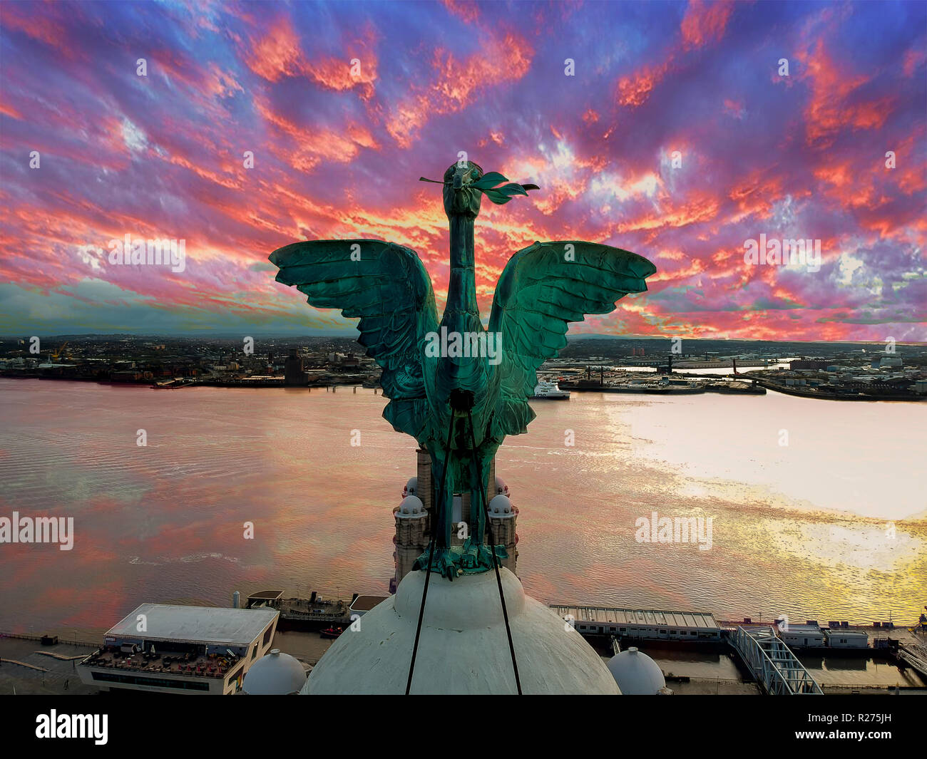 Gli uccelli di fegato al tramonto Foto Stock