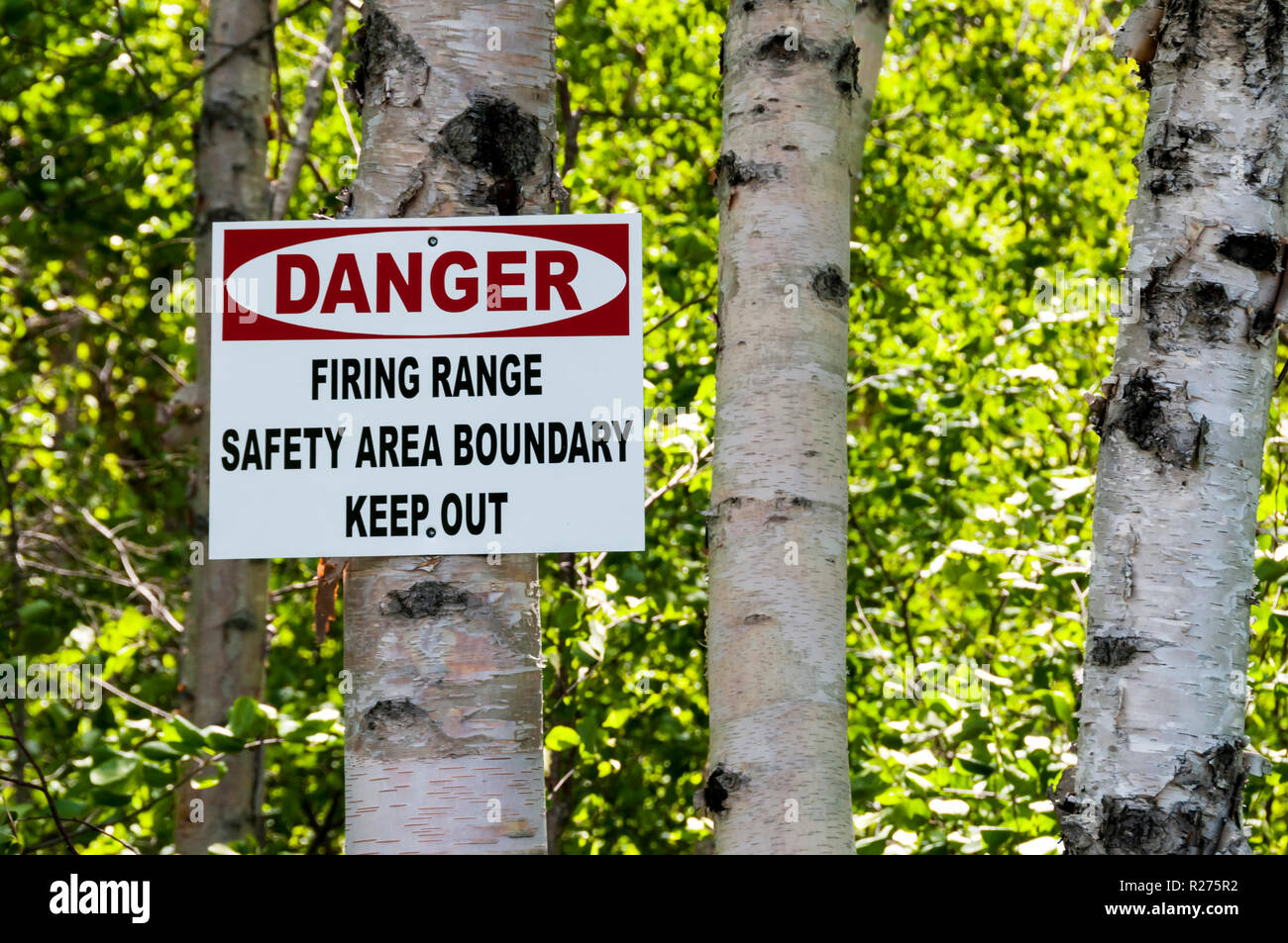 Un poligono di tiro segnaletica di pericolo inchiodati ad un albero. Foto Stock