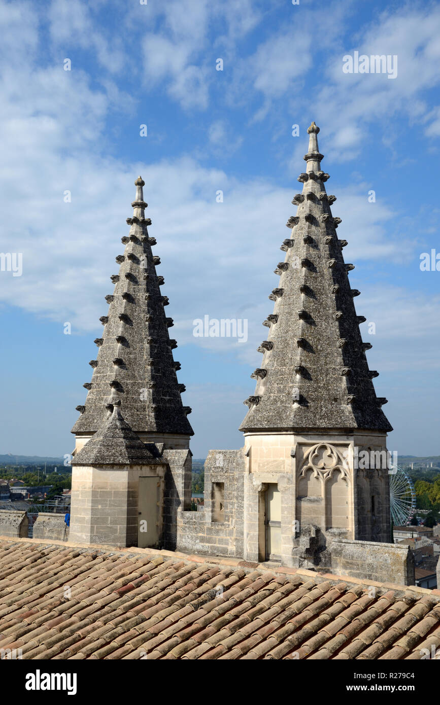 Pinnacoli gotici sul tetto o tetto del Palais des Papes, Palazzo Papale o Palazzo dei Papi di Avignone Provenza Francia Foto Stock
