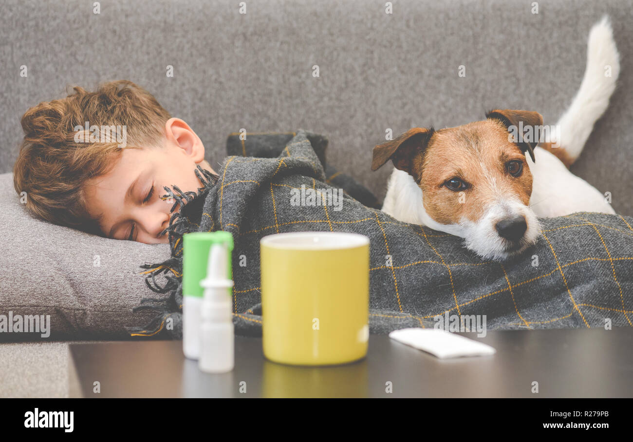 Cane guardia ragazzo malato che dorme sul divano sotto il plaid Foto Stock