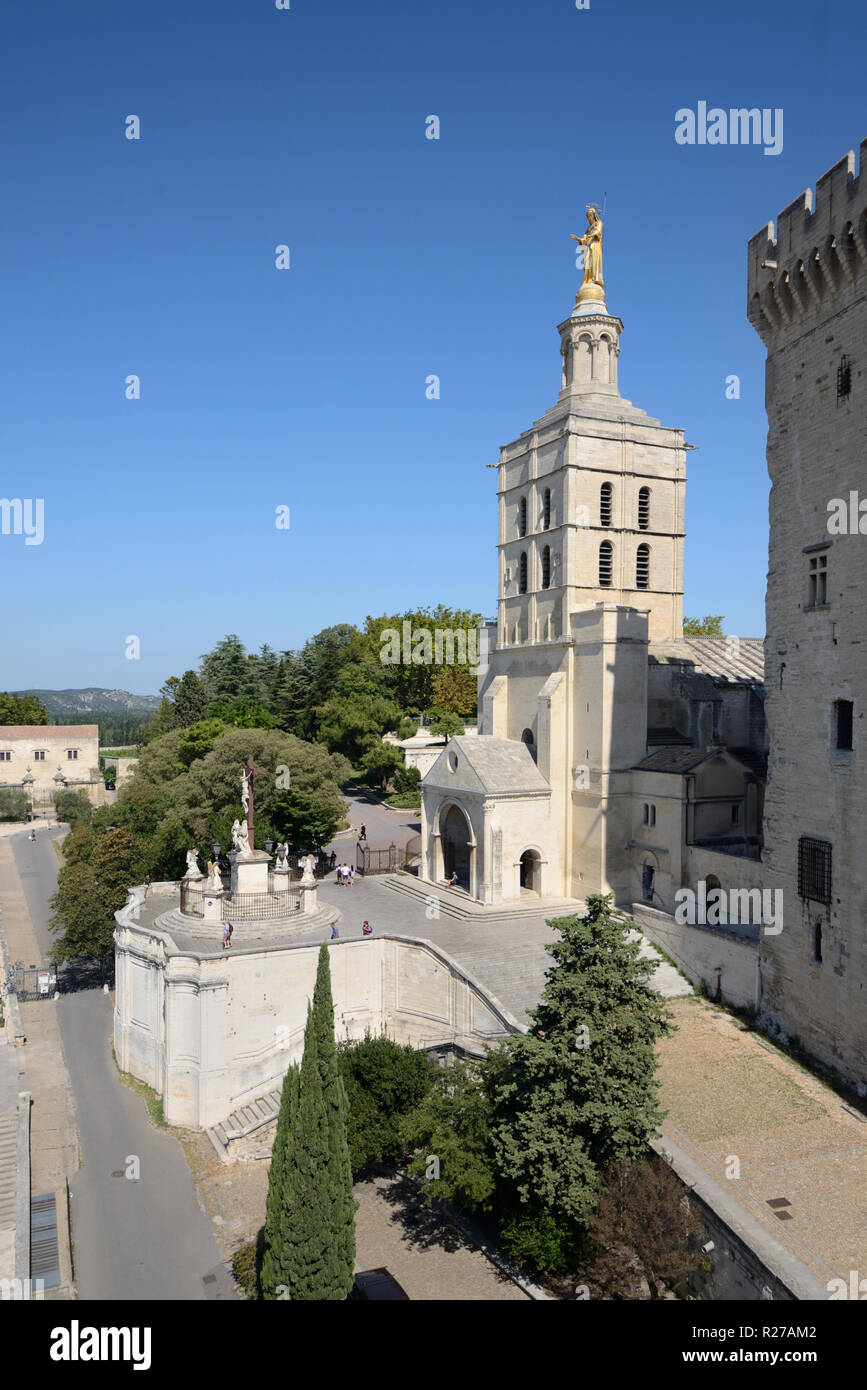 La cattedrale di Notre Dame des Doms Chiesa cattedrale o c12th) Avignon Provence Francia Foto Stock
