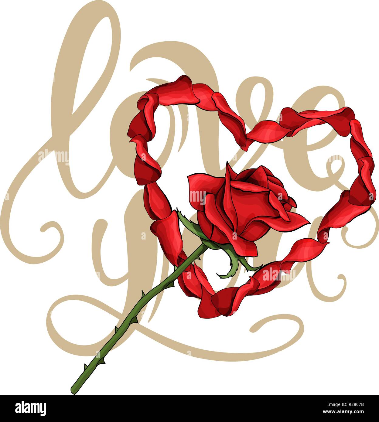 Il giorno di San Valentino amore cartolina petali modello cuore, Red Rose fiore sul lettering Illustrazione Vettoriale