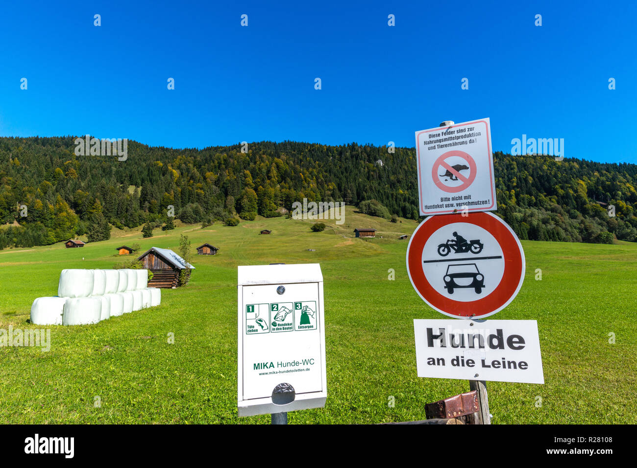 Mettere un guinzaglio sul vostro cane, Buckelwiesen o prati hummocky nel villaggio di Gerold, Krün, colline ai piedi delle Alpi, Baviera, Germania meridionale, Europa Foto Stock