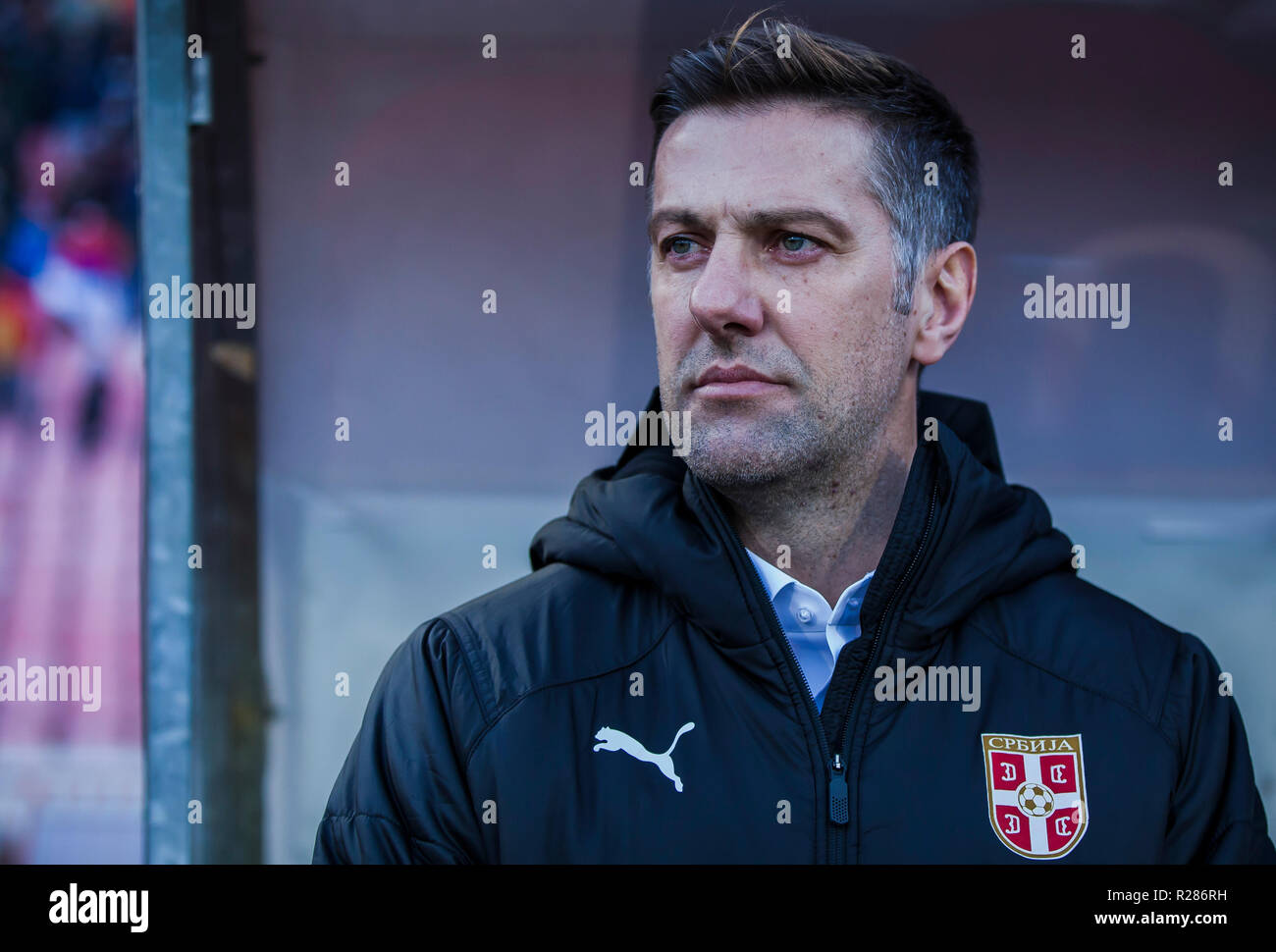 Rajko Mitic Stadium, Belgrado, Serbia. 17 novembre 2018. La UEFA Nazioni League Football, Serbia contro il Montenegro; Allenatore Mladen Krstajic di Serbia Credito: Azione Sport Plus/Alamy Live News Foto Stock