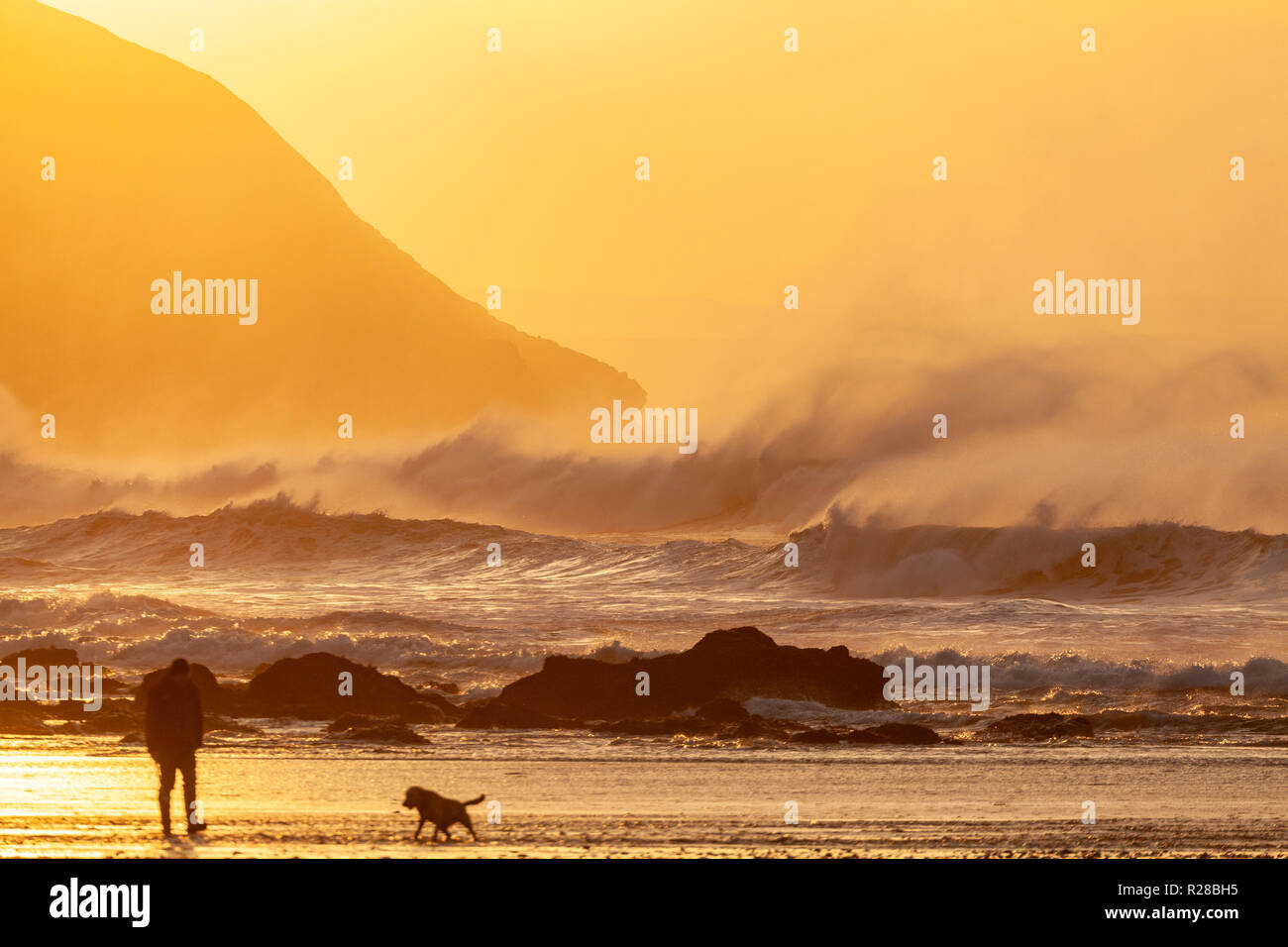 Porthtowan, Cornwall, Regno Unito. 17 Nov 2018. Regno Unito Meteo. Le famiglie visitate la spiaggia come un volume eccezionalmente elevato rigonfiamento Atlantico colpisce il Cornish Coast al tramonto. Credito: Mike Newman/Alamy Live News. Foto Stock