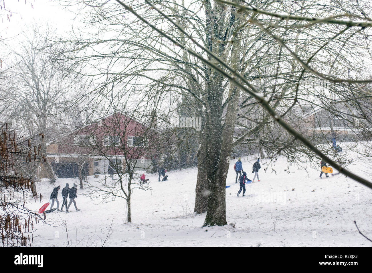 Adulti e bambini di divertirsi sulla neve parco coperto. La Bestia di est gli effetti delle tempeste. Foto Stock