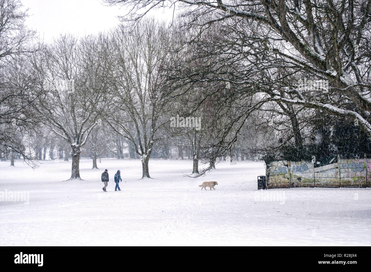 Uno splendido paesaggio invernale con un giovane e il suo cane a camminare dentro la coperta di neve park. La Bestia di est gli effetti delle tempeste. Foto Stock