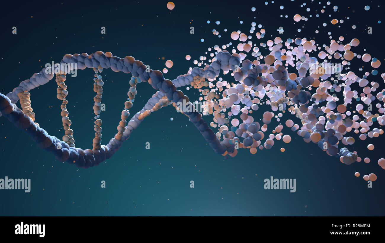Il filamento di DNA assemblaggio da diversi elementi. 3D illustrazione Foto Stock