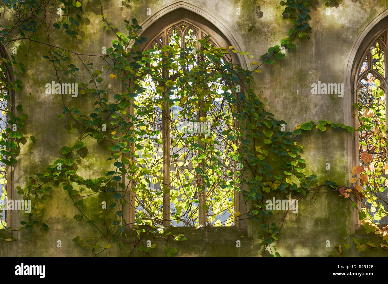 Windows perpendicolare della diruta chiesa di St Dunstan in Oriente, nella città di Londra, Regno Unito Foto Stock