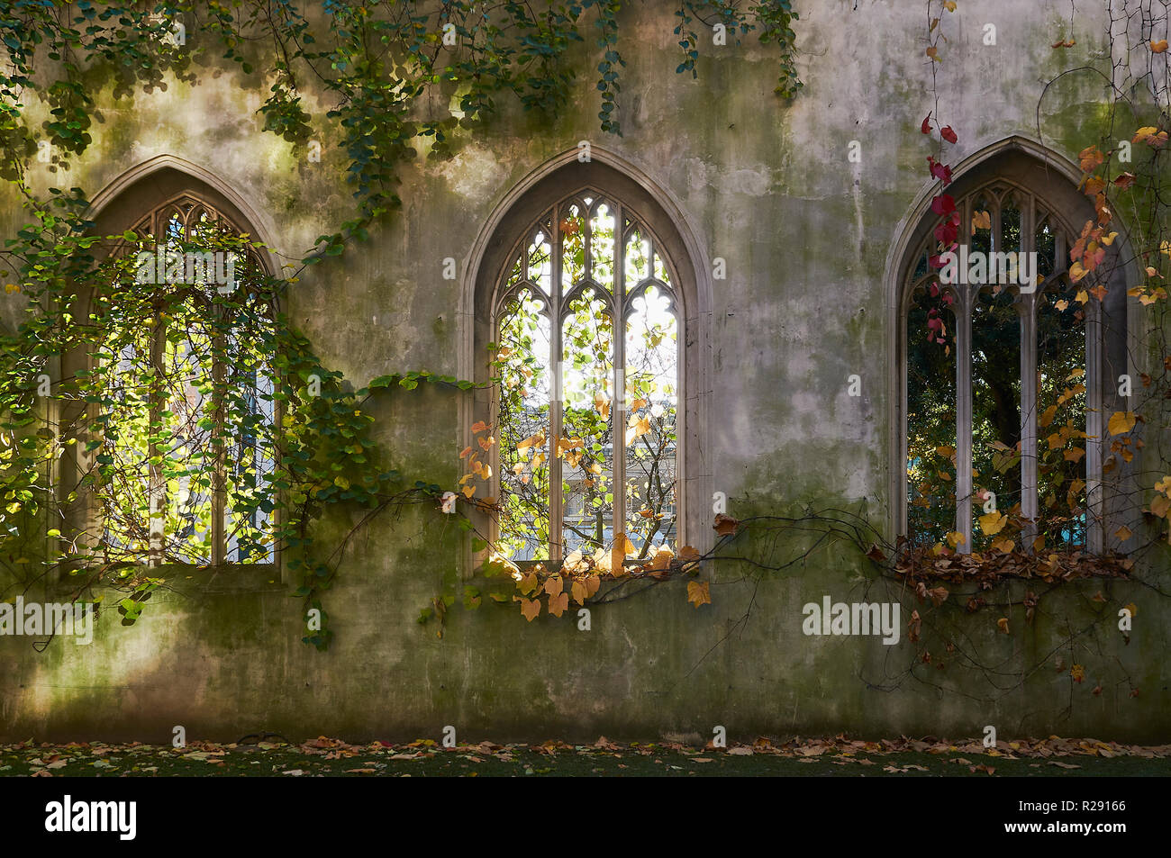 Windows perpendicolare della diruta chiesa di St Dunstan in Oriente, nella città di Londra, Regno Unito Foto Stock