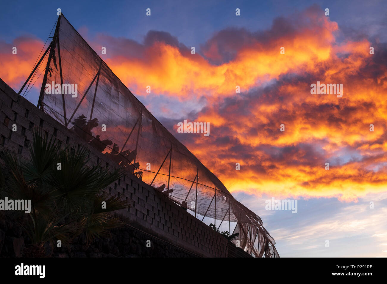 Vento che soffia piantagione di banane netting con il cielo colorato di arancione all'alba, sunrise a Tenerife, Isole Canarie, Spagna Foto Stock