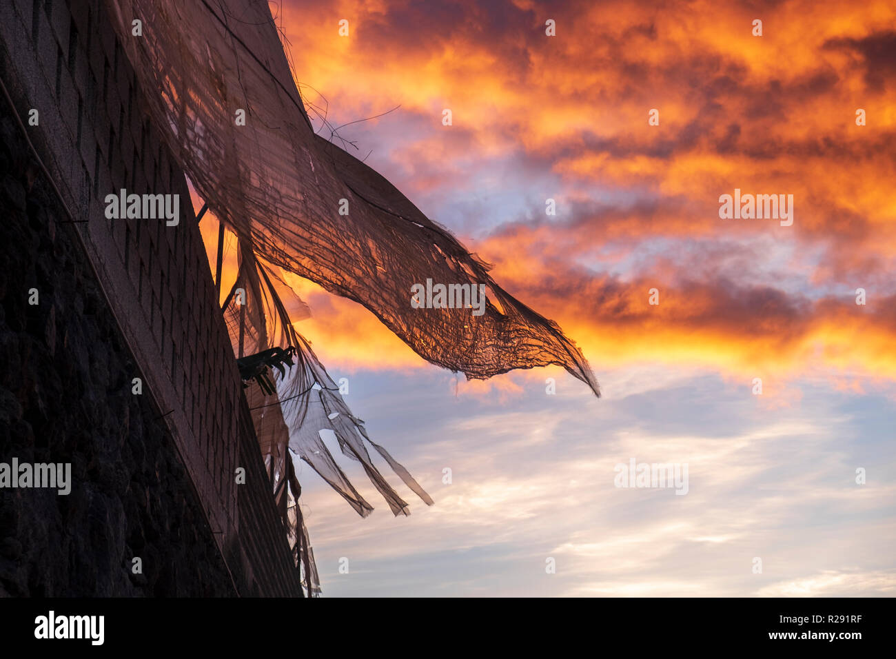 Vento che soffia piantagione di banane netting con il cielo colorato di arancione all'alba, sunrise a Tenerife, Isole Canarie, Spagna Foto Stock