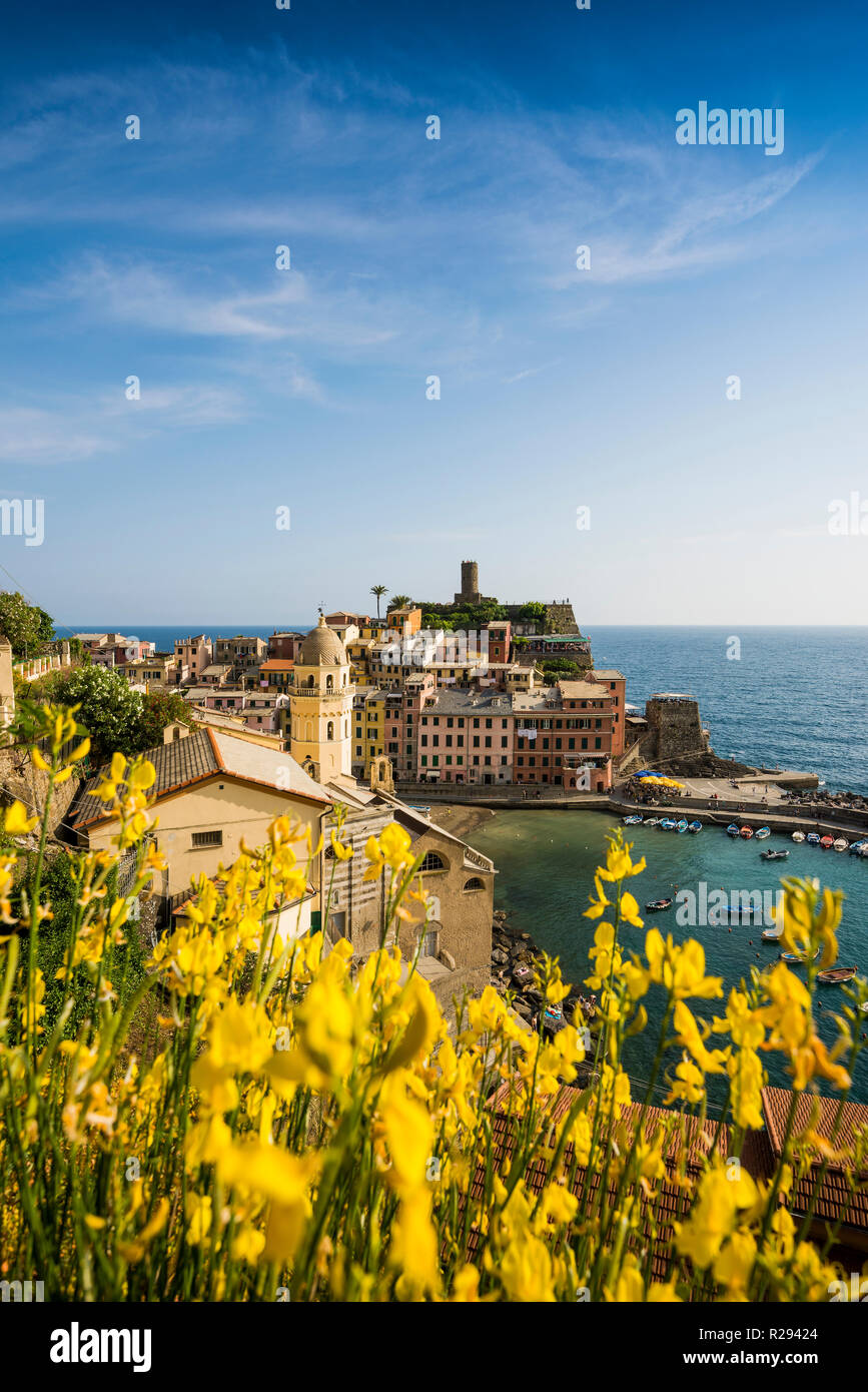 Vista del villaggio con case colorate sulla costa, Vernazza, Sito Patrimonio Mondiale dell'UNESCO, le Cinque Terre e la Riviera di Levante Foto Stock