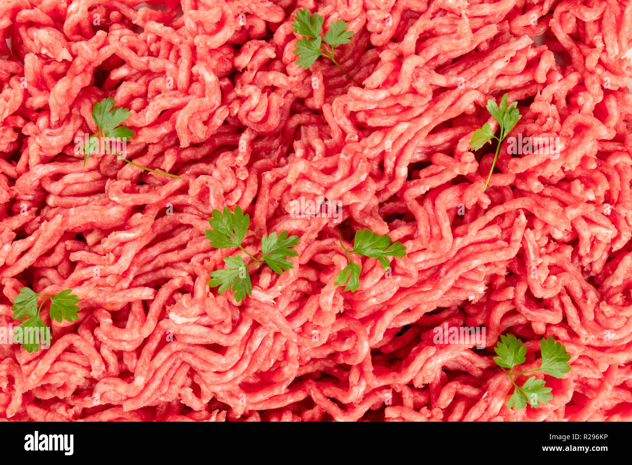 La carne macinata con il prezzemolo, girato dalla parte superiore, una texture culinaria Foto Stock